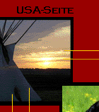 USA Seite